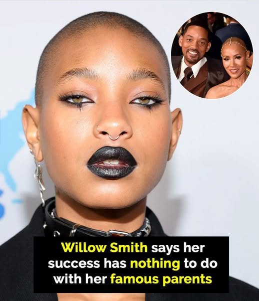 Willow Smith says her fame has nothing to do with parents