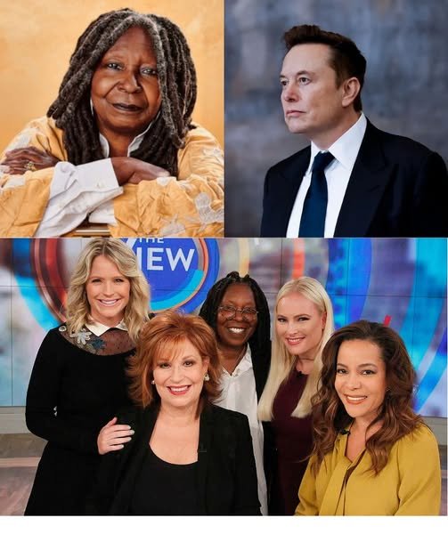 Elon Musk called for a boycott of The View, calling it “a meeting place for ignorant women.” Immediately after, the entire cast responded fiercely