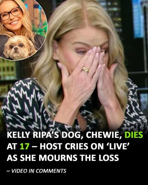 Kelly Ripa breaks down on TV after losing her 17-year-old dog