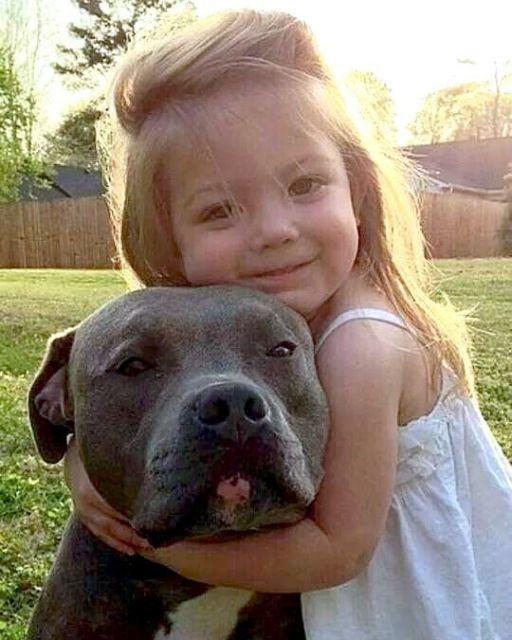 THEY SAID OUR DOG WAS TOO DANGEROUS TO BE AROUND CHILDREN—SHE PROVED THEM WRONG EVERY DAY